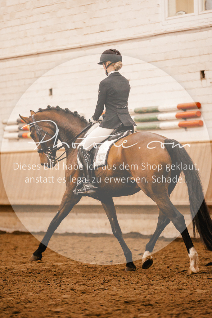 3I6A6949 | Stimmungsvolle Portraits und Reitsportfotografie im Ruhrgebiet und im Münsterland.

Pferdefotografie, Hundefotografie, Tierfotografie, Reportagen, Portraits von Tier und Mensch, Turnierfotografie in Bochum, Recklinghausen, Marl, Haltern am See, Dülmen.. - Realisiert mit Pictrs.com