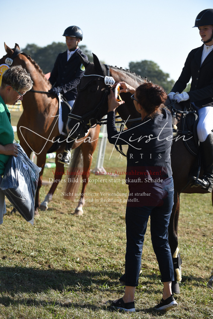 DSC_5436 | Pferde- und Turnierfotografie in Westsachsen. Pferdeportraits, Auftragszeichnungen und intuitive Kunst.