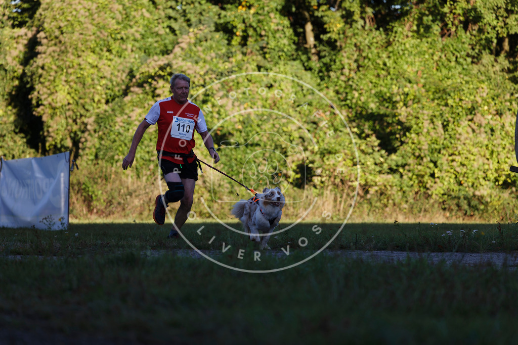 0L8A4592 | Hundefotografie, Tierfotograf, Pfotenfotografie, Fotoshooting Hund, Hunde Portrait, Hundesport, Hundeportraits, Heideshooting, Hunde, Sportfotograf, Hundefotograf, Turnierhundsport, THS,  - Realisiert mit Pictrs.com