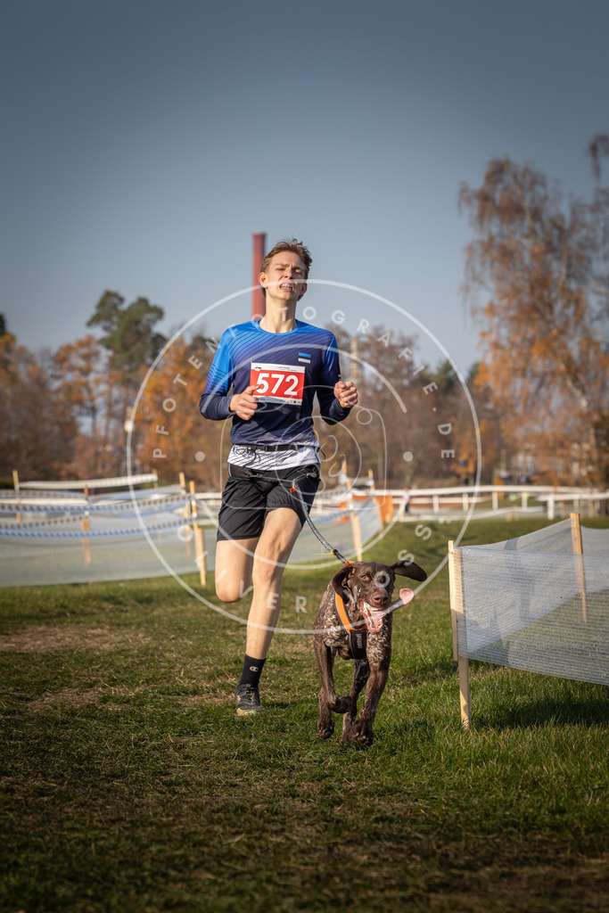 CaniXpix_0L8A9580 | Hundefotografie, Tierfotograf, Pfotenfotografie, Fotoshooting Hund, Hunde Portrait, Hundesport, Hundeportraits, Heideshooting, Hunde, Sportfotograf, Hundefotograf, Turnierhundsport, THS,  - Realisiert mit Pictrs.com