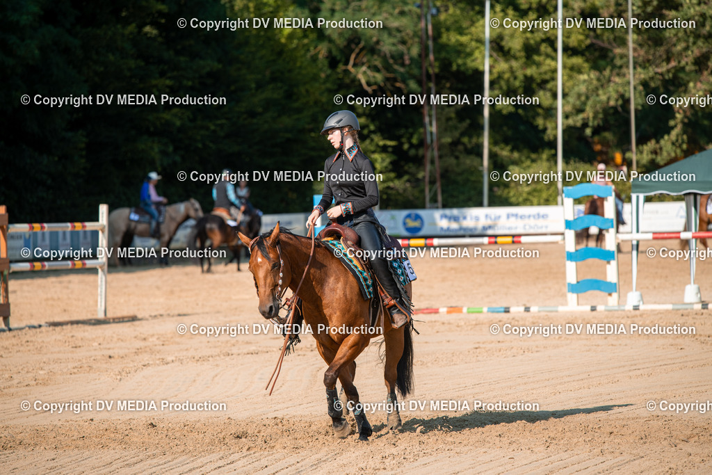 ZS2_8886 | dv-media-shop - Realisiert mit Pictrs.com