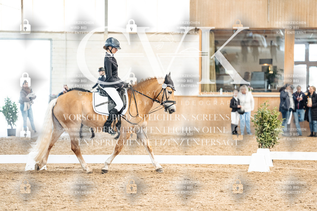 CK900167 | Turnierfotografie Pferdefotografie Trier Rheinland-Pfalz Pferdesport Reitsport Tierfotografie Sportfotografie Pferdevideo Pferdevideografie Equestrianvideography equestrianphotography  - Realized with Pictrs.com
