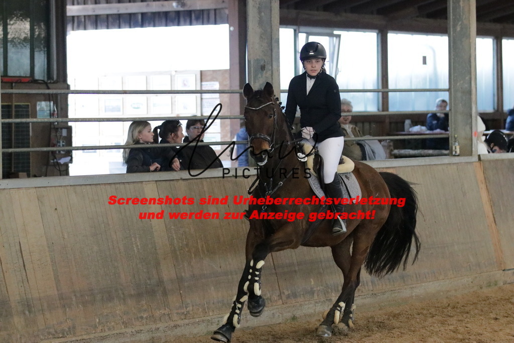 IMG_3246 | lmwpictures - Realisiert mit Pictrs.com