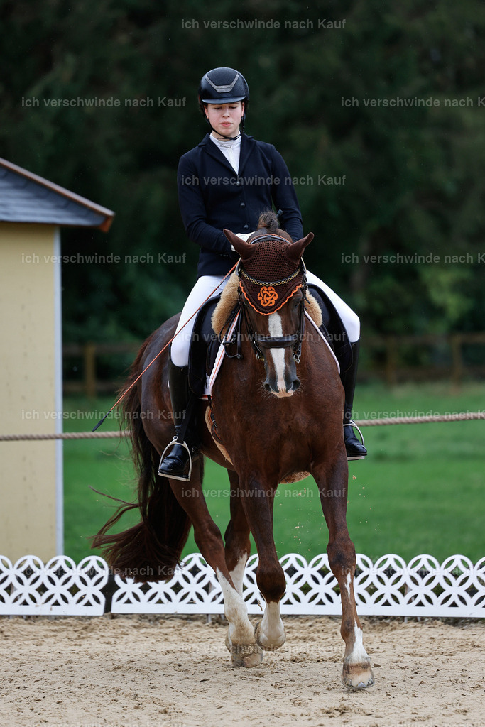 05-002-DRESSUR M_  -StoibPH-4892 | working equitationturnier fotograf videograf stoibphotography marixx film working equitation deutschland reitsport turnierfotografie eventfotografie equestrian events