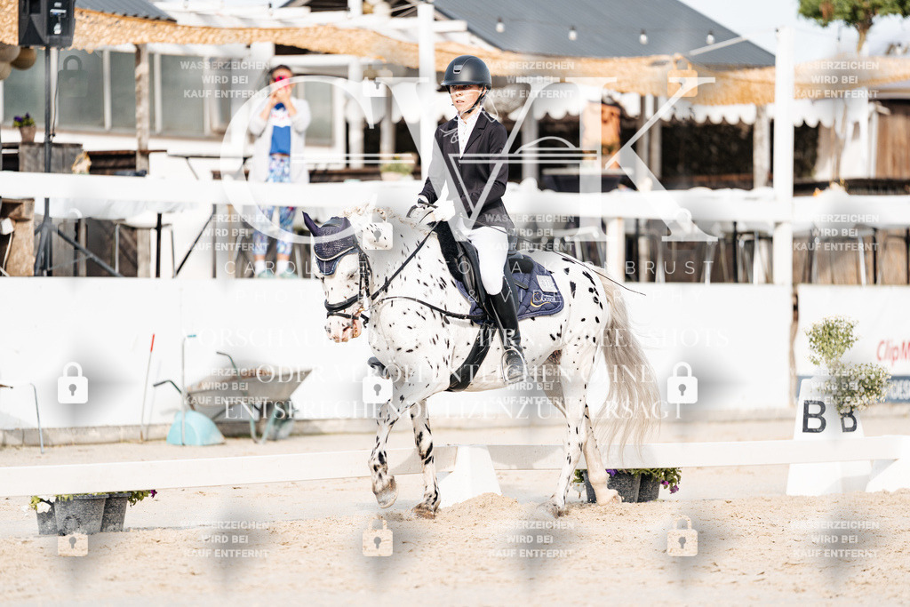 CK904425 | Turnierfotografie Pferdefotografie Trier Rheinland-Pfalz Pferdesport Reitsport Tierfotografie Sportfotografie Pferdevideo Pferdevideografie Equestrianvideography equestrianphotography  - Realisiert mit Pictrs.com