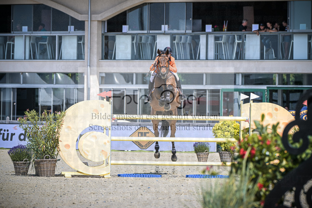 DOS_5497 | Entdecke hochwertige Reitturnierfotos von Foto Oger. Professionell, emotional und authentisch – jetzt Lieblingsmomente im Shop bestellen.Deutschlandweite Turnierfotografie. - Realisiert mit Pictrs.com
