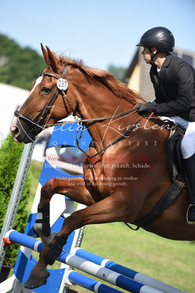 DSC_9192 | Pferde- und Turnierfotografie in Westsachsen. Pferdeportraits, Auftragszeichnungen und intuitive Kunst.