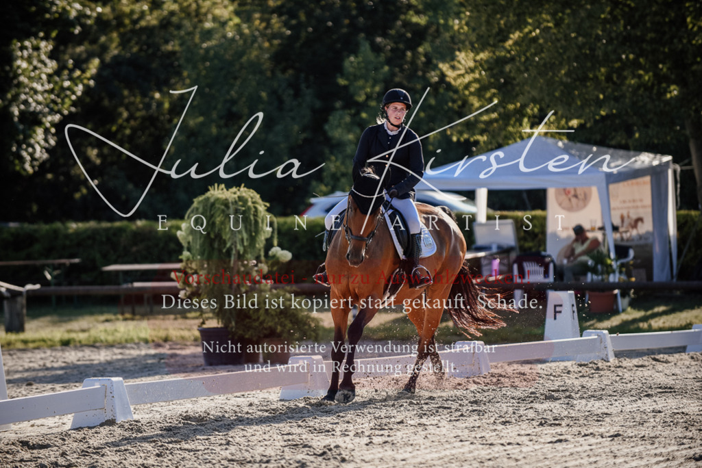 DSC_0684 | Pferde- und Turnierfotografie in Westsachsen. Pferdeportraits, Auftragszeichnungen und intuitive Kunst.