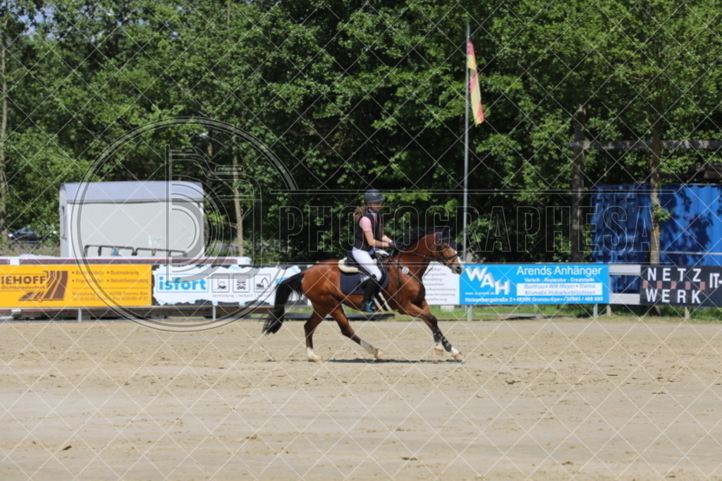 IMG_5410 | photographesa-joergens - Realisiert mit Pictrs.com