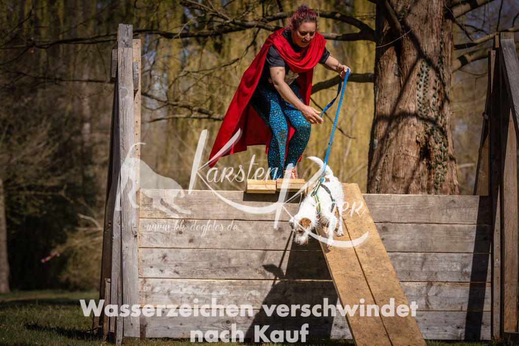 1039_ZZ98586 | kk-dogfotos