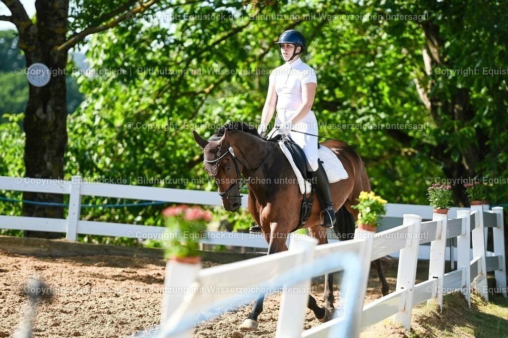 20230715_06_Dressurpferdeprfg. Kl.A_0275 | equistock