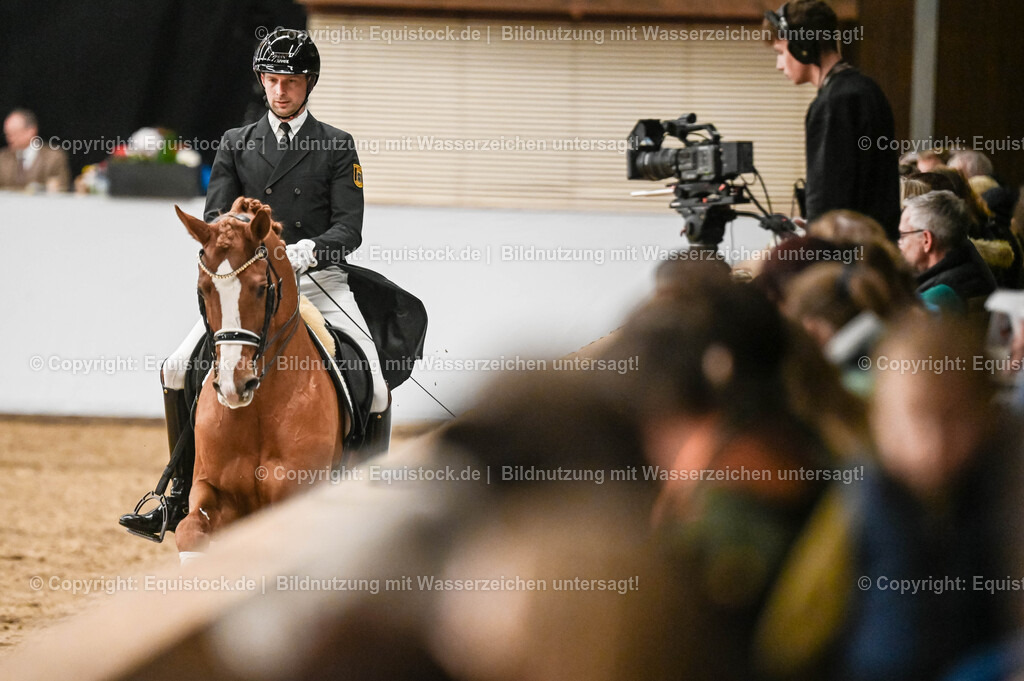 20260307_Hengstvorstellung-Marbach_0315 | equistock