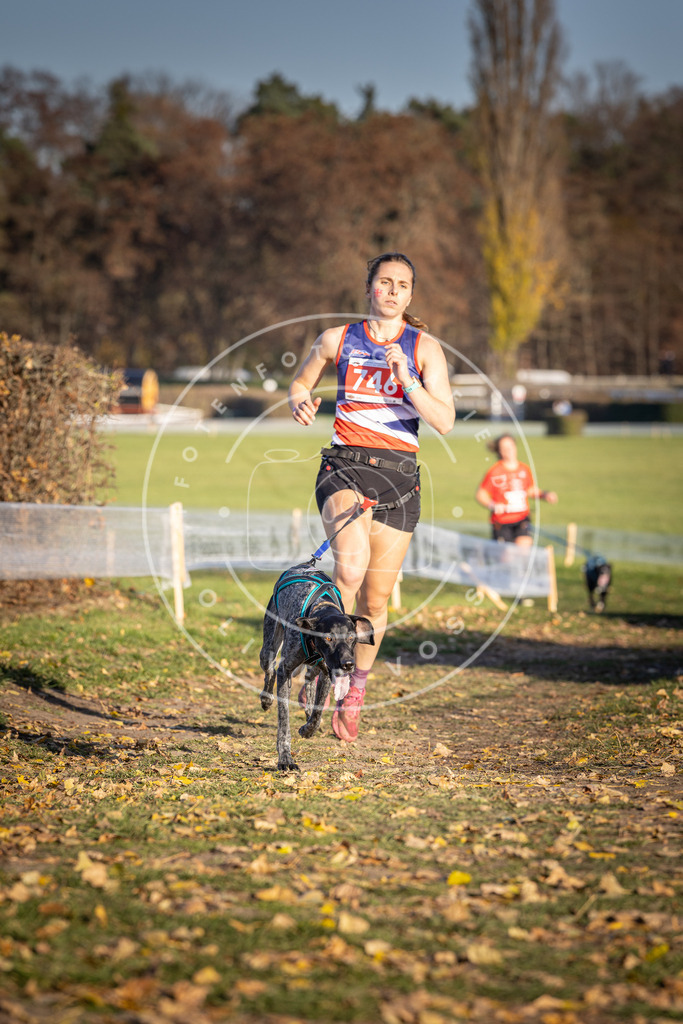 CaniXpix_DV3A2316 | Hundefotografie, Tierfotograf, Pfotenfotografie, Fotoshooting Hund, Hunde Portrait, Hundesport, Hundeportraits, Heideshooting, Hunde, Sportfotograf, Hundefotograf, Turnierhundsport, THS,  - Realisiert mit Pictrs.com