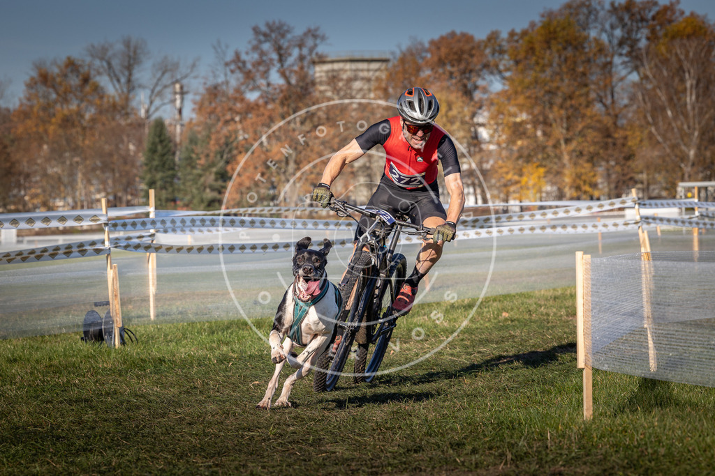 CaniXpix_0L8A5135 | Hundefotografie, Tierfotograf, Pfotenfotografie, Fotoshooting Hund, Hunde Portrait, Hundesport, Hundeportraits, Heideshooting, Hunde, Sportfotograf, Hundefotograf, Turnierhundsport, THS,  - Realisiert mit Pictrs.com