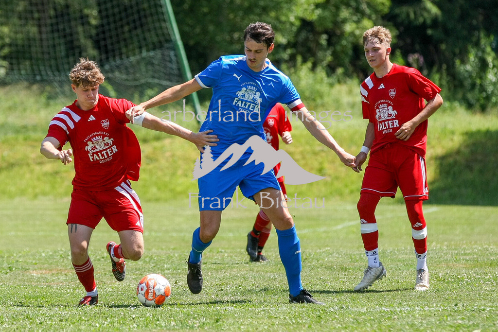 993T8282 | Medien- Sport- Entertainmentfotos