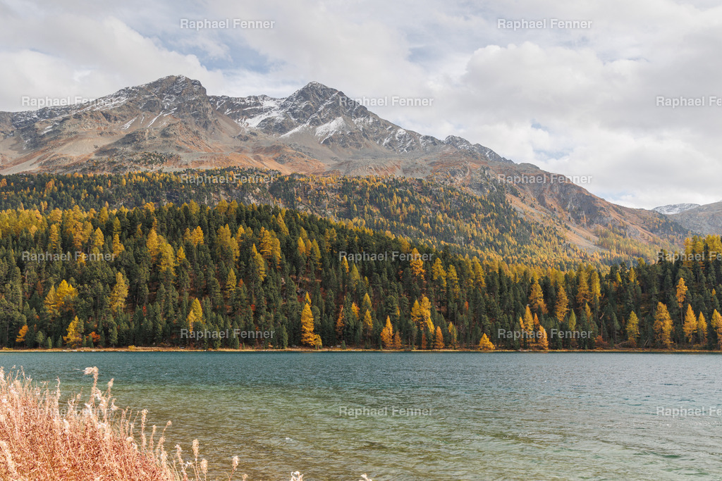 IMG_9480 | Erlebe eindrucksvolle Landschaftsfotografie aus dem Engadin und darüber hinaus. Raphael Fenner bietet zudem professionelle Fotoaufträge für Hochzeiten, Porträts und Unternehmen. Jetzt entdecken und inspirieren lassen!