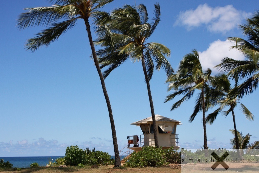 Save me 01 | Oahu, Hawaii (USA)