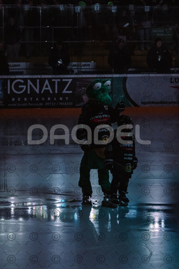 Alligators_vs_Bayreuth_16_01_2026-04 | Höchstadt Alligators Fotogalerie: Eishockey-Action aus Franken. Professionelle Spielfotos, Portraits & Stadionbilder zum Download. Jetzt entdecken! - Realized with Pictrs.com