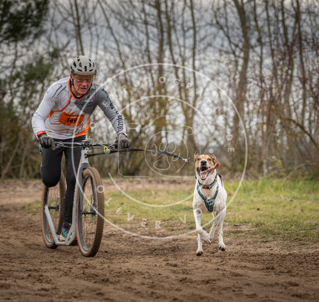 Pfotenfotografie_DV3A9770 | Hundefotografie, Tierfotograf, Pfotenfotografie, Fotoshooting Hund, Hunde Portrait, Hundesport, Hundeportraits, Heideshooting, Hunde, Sportfotograf, Hundefotograf, Turnierhundsport, THS,  - Realisiert mit Pictrs.com