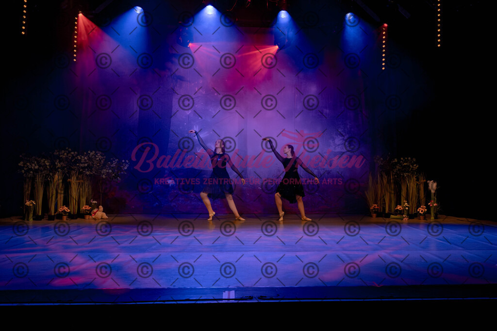 Ballettaufführung-377 | Bildershop Lem'n Entertainment - Realisiert mit Pictrs.com