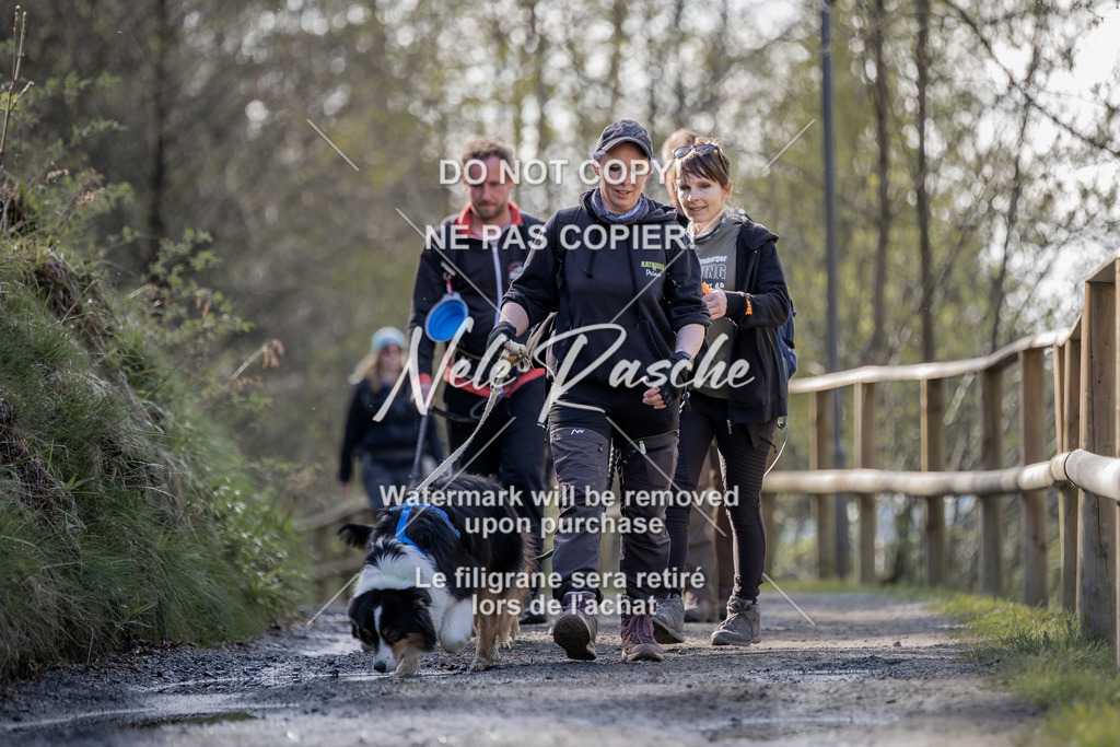 NR__0683 | nelerasche