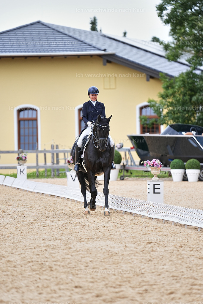 11-194-Dressur S___-Marixx-1494 | working equitationturnier fotograf videograf stoibphotography marixx film working equitation deutschland reitsport turnierfotografie eventfotografie equestrian events