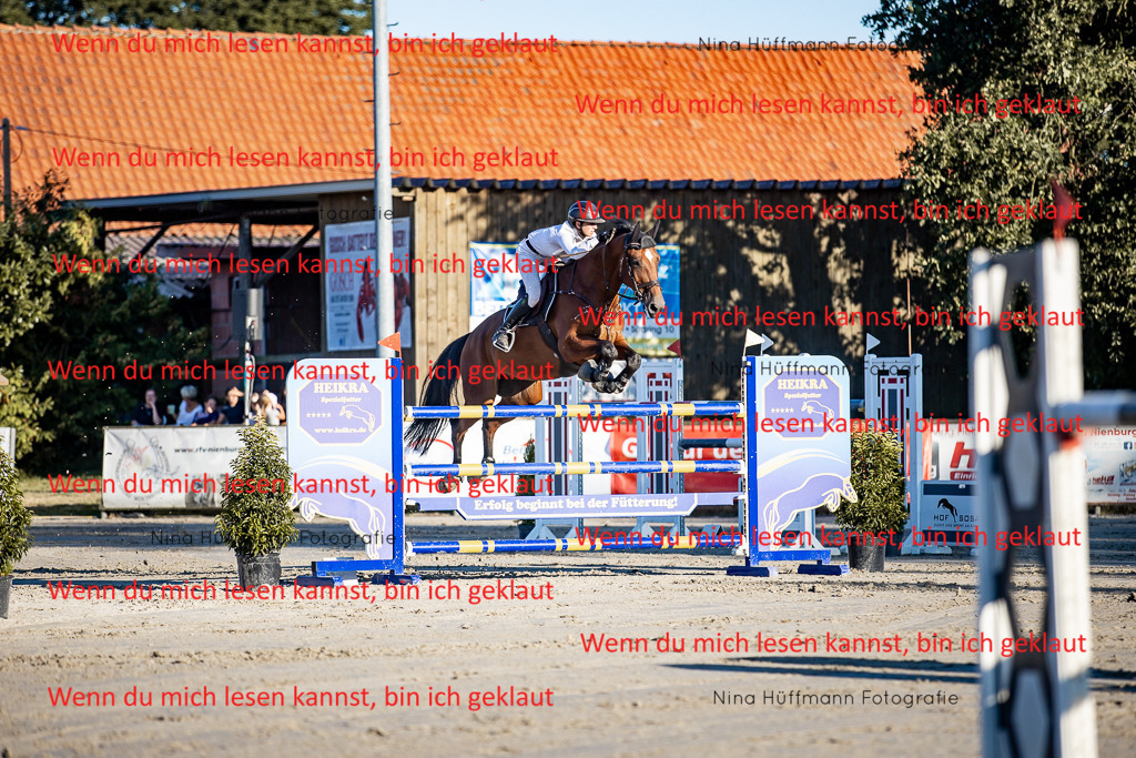BK1A8447 | Turnierbilder Turnierfotos Nina Hüffmann Turnierfotografie Pferdefotografie Tierzeichnung Haustierzeichnung Pferdezeichnung Hundezeichnung Videograf  - Realisiert mit Pictrs.com