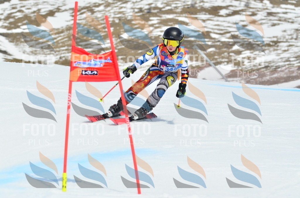 _ELE2546 | holidayphoto