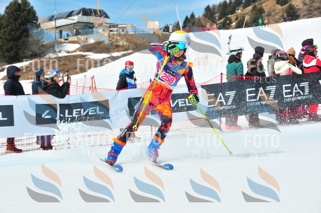 DSC_6162 | holidayphoto