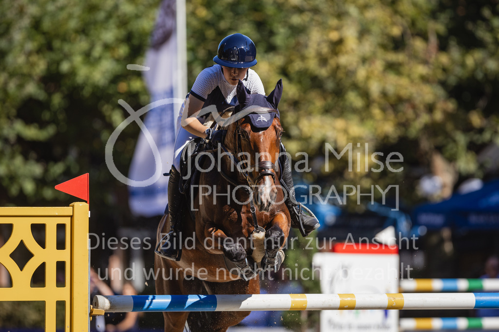 230909_OWLCh_Amateur-L-910 | Deine schönsten Turniermomente als professionelle Fotos! Entdecke hochwertige Pferdesport-Fotografie im Online-Shop. Jetzt Fotos finden & bestellen!