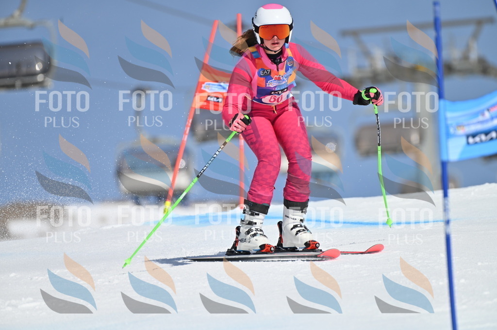 BGV_8721 | holidayphoto