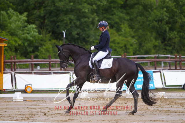 DKP40608 | Turniersportfotografie; Pferdefotografie; Dressurfotografie