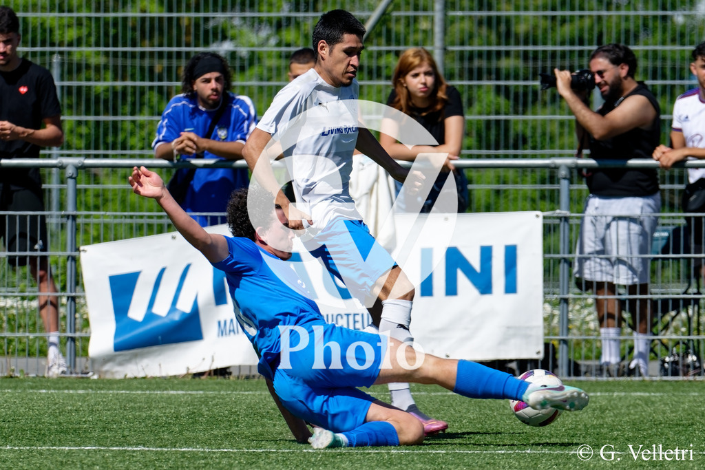 DSC_3712 | Velletri Photo