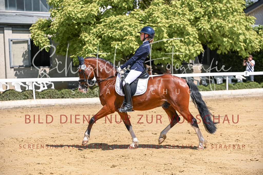 Schugtsche-Aluta25-53.Amat.Dressurprf.A2-155 | Schugtsche Fotografie - Realisiert mit Pictrs.com