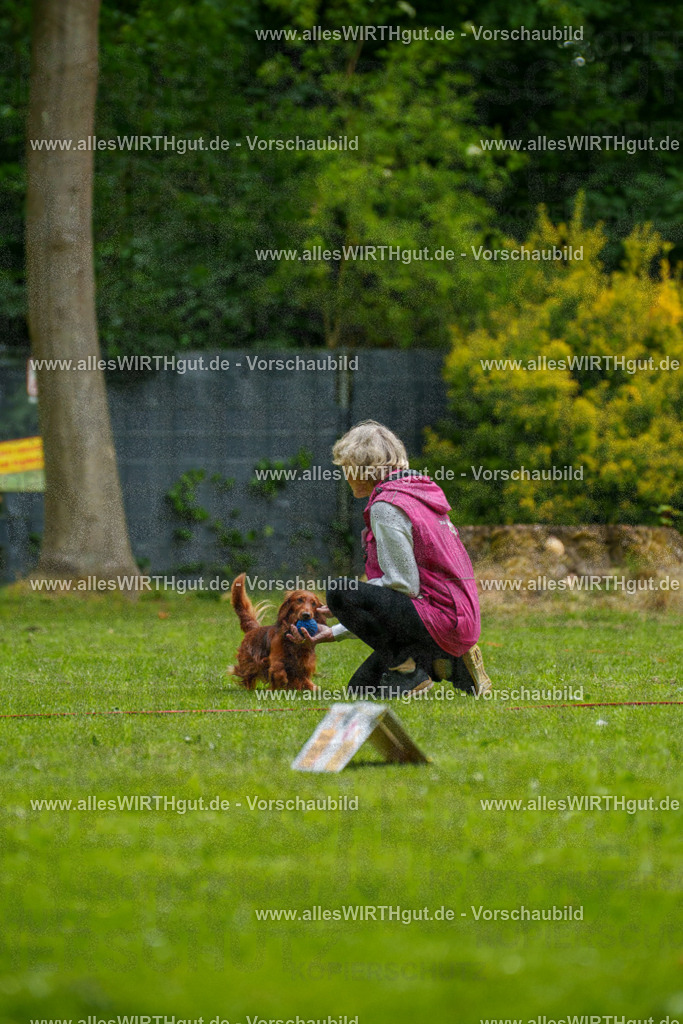@allesWIRTHgut_Tierfotografie - www.allesWIRTHgut.de - 091105-7R506705 | Professionelle Tierfotografie in Mönchengladbach von Daniel Wirth (allesWIRTHgut). Liebevolle & natürliche Bilder von Hunden & Katzen für unvergessliche Erinnerungen.