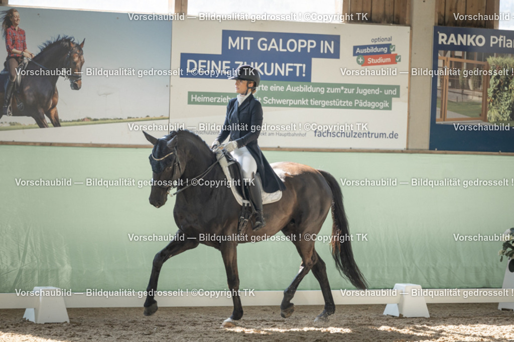 _D5A1676 | Emotionale Pferde- & People-Fotografie rund um Heidelberg, Leimen & Umgebung. Natürliche Fotos von Pferd, Mensch & Familie. Jetzt Termin sichern!