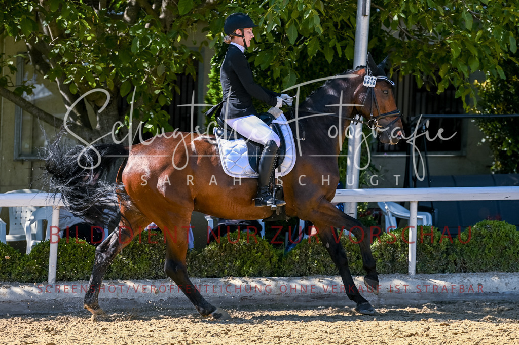Schugtsche-Aluta25-50.Dressurpferdeprf.L-172 | Schugtsche Fotografie - Realisiert mit Pictrs.com