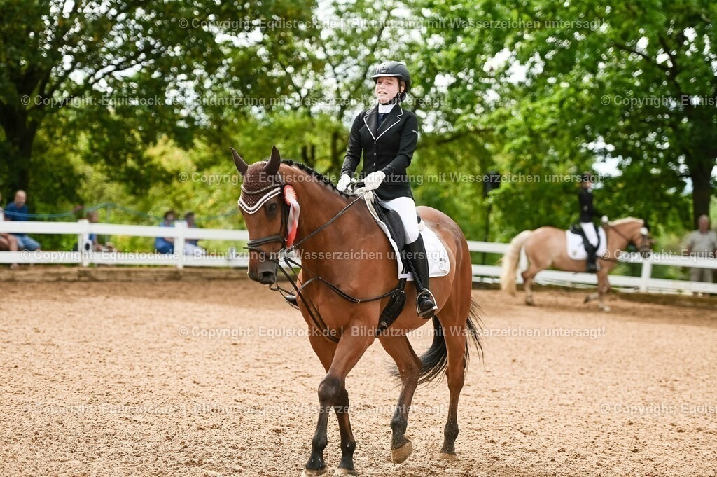 20230716_10-1_Reiter-WB Schritt - Trab - Galopp_0283 | equistock