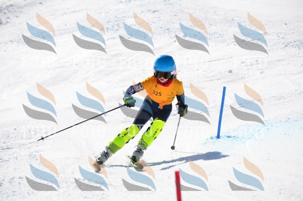 C9606 | holidayphoto