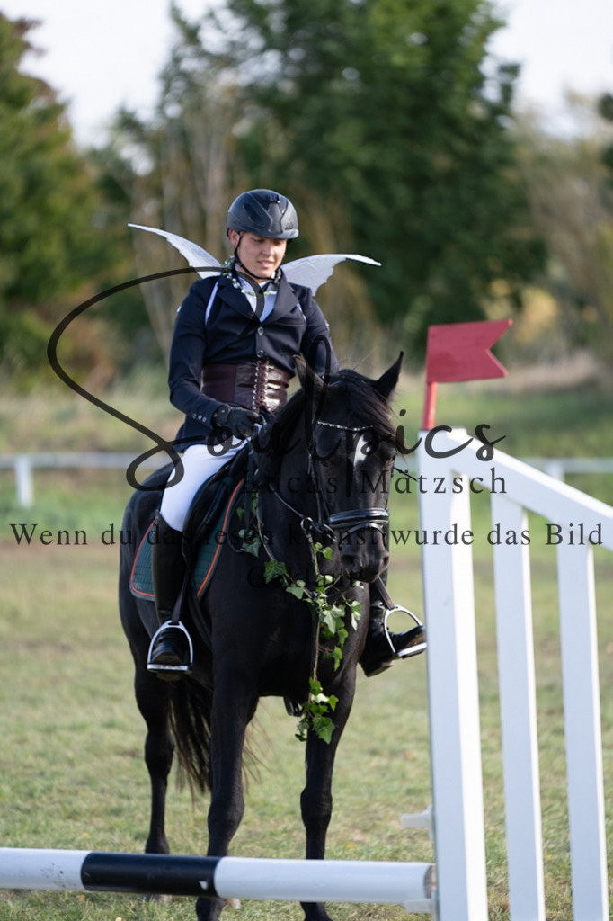 A7V06600 | Pferdefotograf