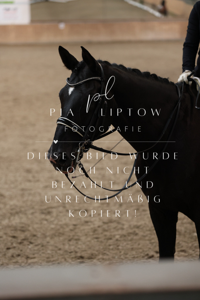 IMGM1135 | pl-fotografie