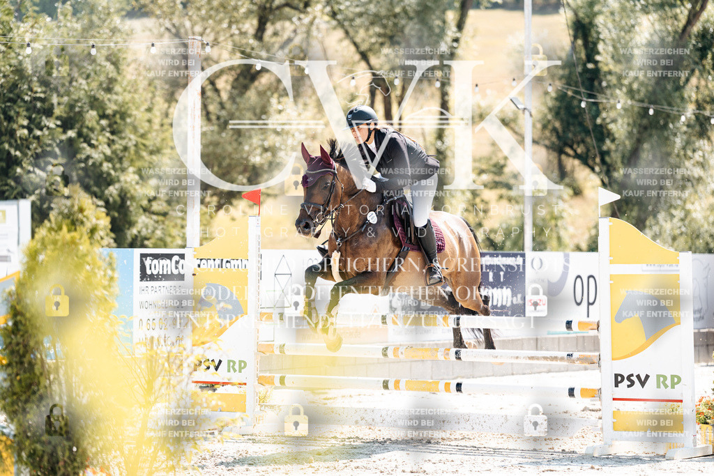 CK908893 | Turnierfotografie Pferdefotografie Trier Rheinland-Pfalz Pferdesport Reitsport Tierfotografie Sportfotografie Pferdevideo Pferdevideografie Equestrianvideography equestrianphotography  - Realisiert mit Pictrs.com