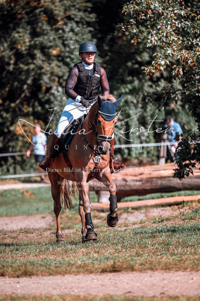 DSC_0801 | Pferde- und Turnierfotografie in Westsachsen. Pferdeportraits, Auftragszeichnungen und intuitive Kunst.
