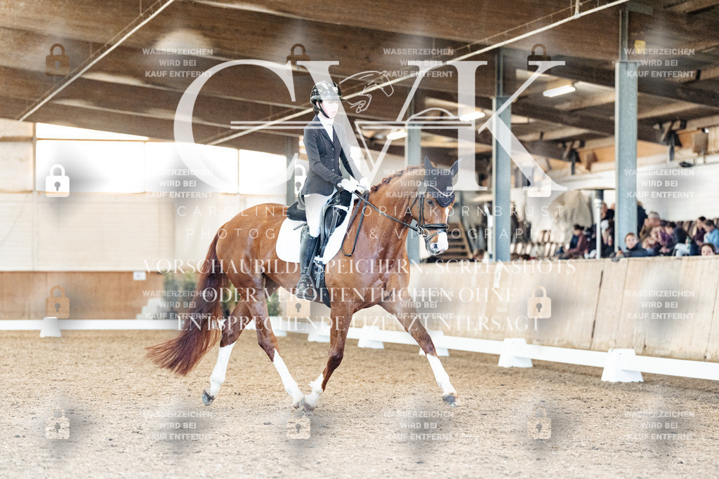 CK909064 | Turnierfotografie Pferdefotografie Trier Rheinland-Pfalz Pferdesport Reitsport Tierfotografie Sportfotografie Pferdevideo Pferdevideografie Equestrianvideography equestrianphotography  - Realisiert mit Pictrs.com