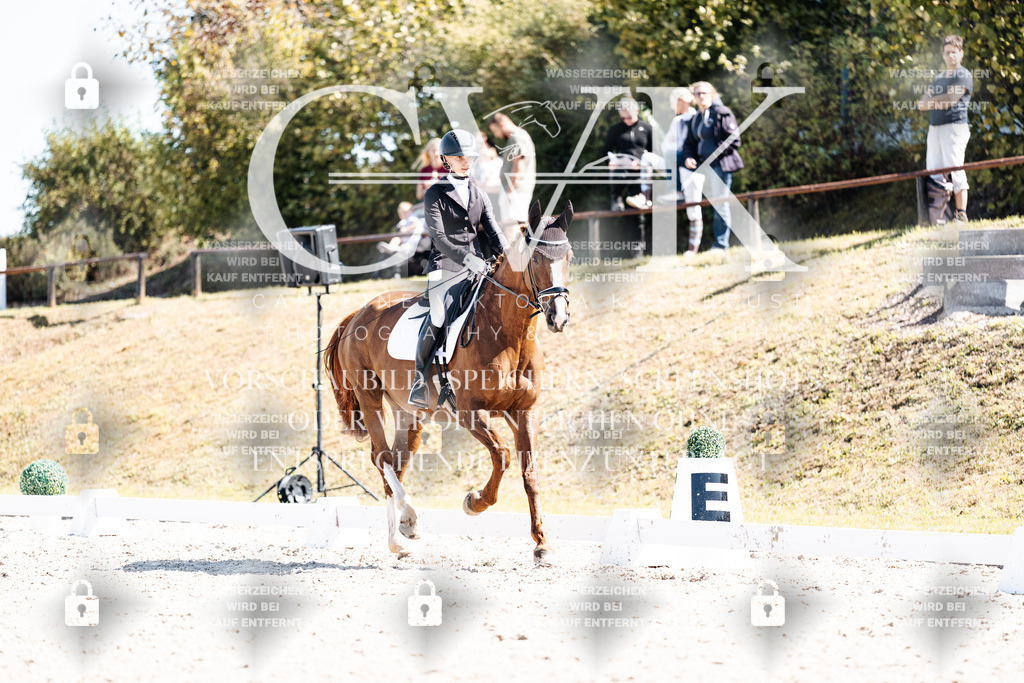 CK903965 | Turnierfotografie Pferdefotografie Trier Rheinland-Pfalz Pferdesport Reitsport Tierfotografie Sportfotografie Pferdevideo Pferdevideografie Equestrianvideography equestrianphotography  - Realisiert mit Pictrs.com