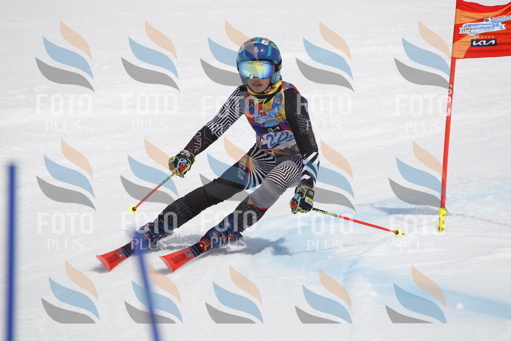 _U3G2405 | holidayphoto