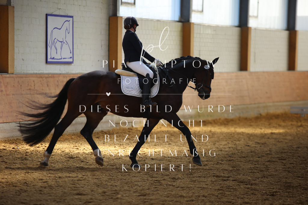 IMGT6884 | pl-fotografie