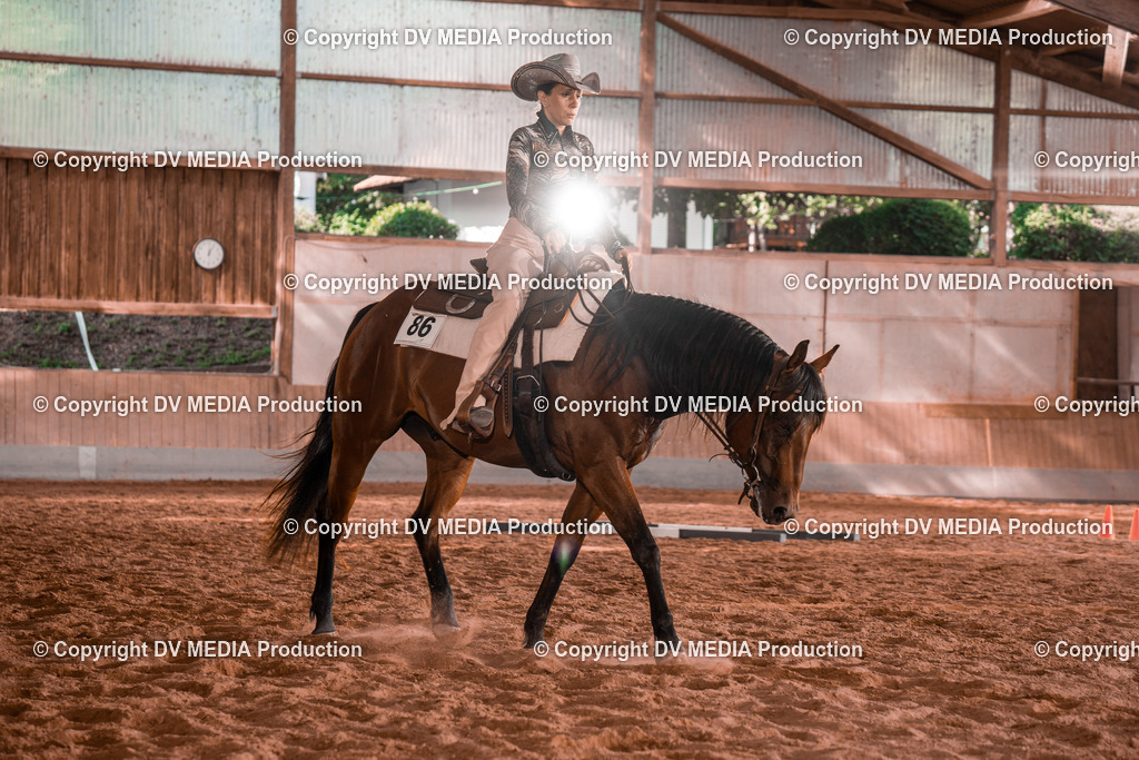 NE200210 | dv-media-shop - Realisiert mit Pictrs.com