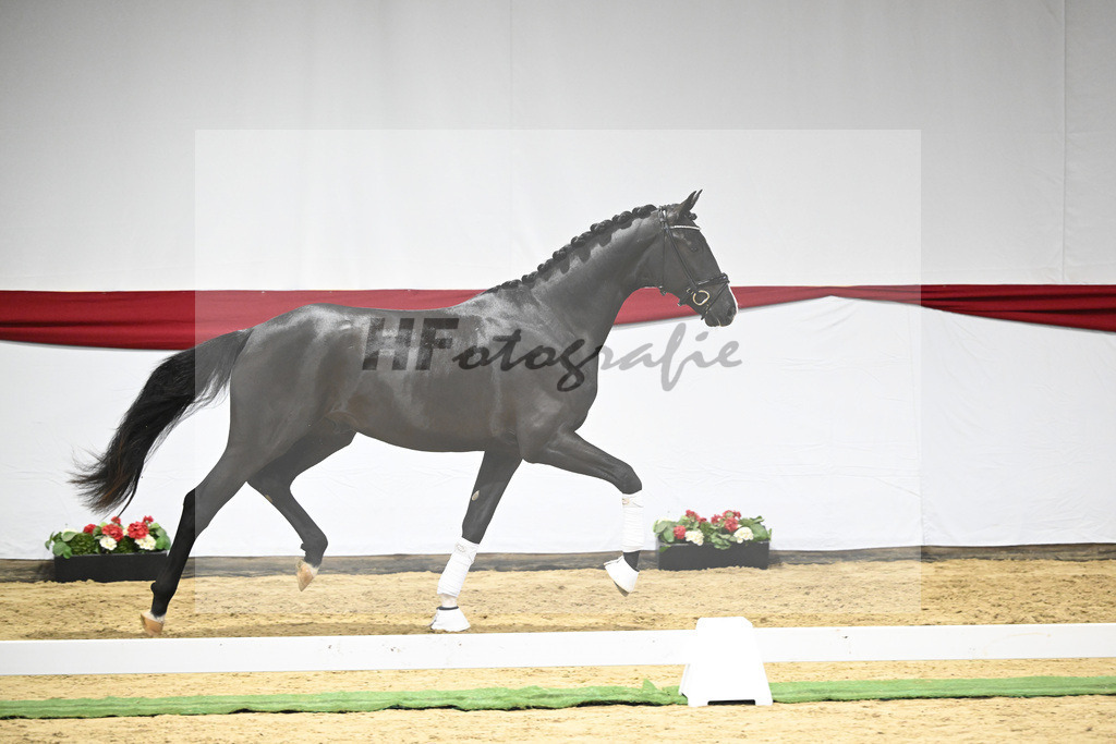 Kat-Nr. 19 v. Escamillo_Dalsem_63220381 | hf-fotografie - Realizzato con Pictrs.com