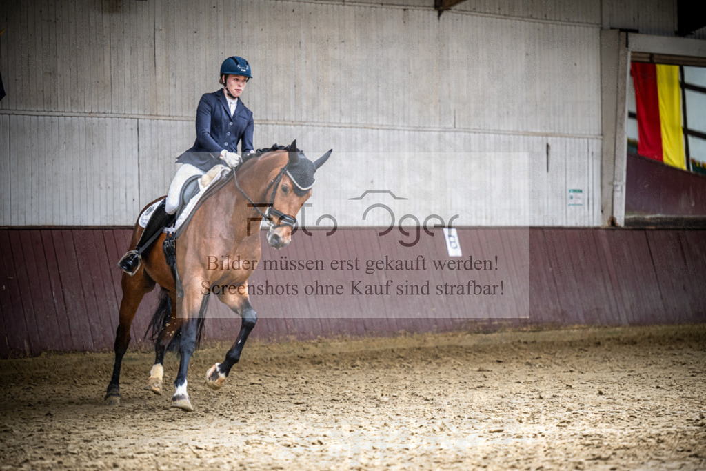 DOS_3398 | Reitturnier Lüdinghausen - Realisiert mit Pictrs.com